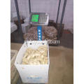 Hurtownia Anqiu New Crop Air Dried Ginger